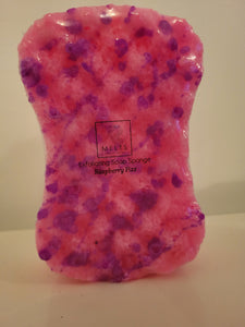 Exfoliating soap sponge